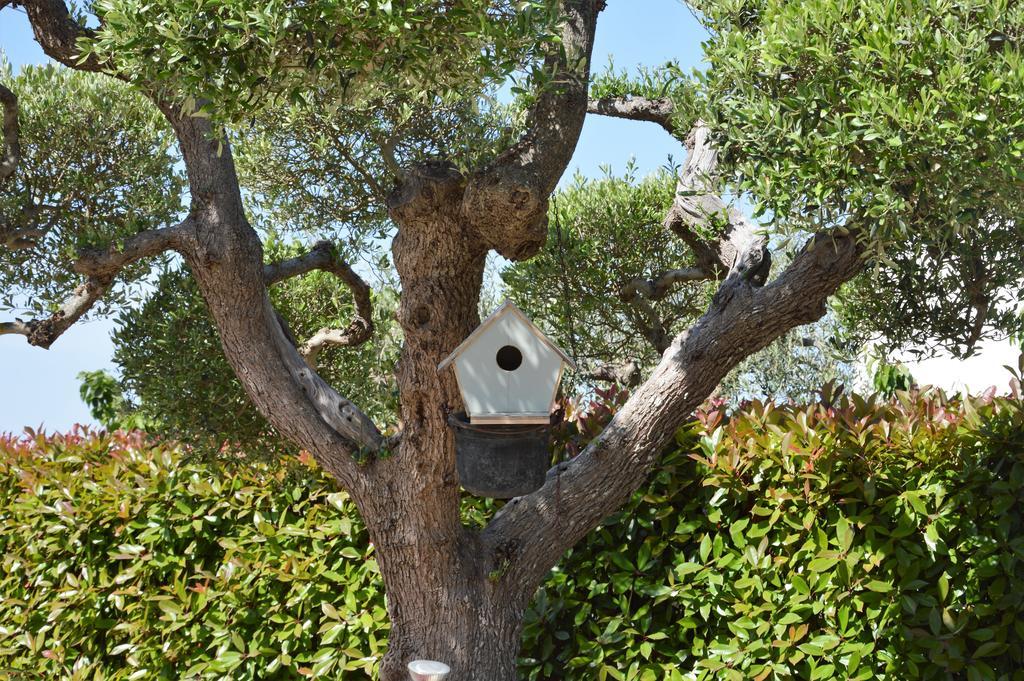 Bed and Breakfast Casa Delle Rondini Alberobello Exterior foto